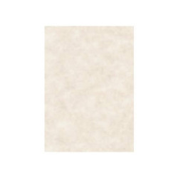 Carta pergamenata Decadry Linea Corporate grigio Conf. 100 fogli - T105002