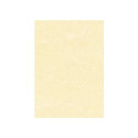 Carta pergamenata Decadry Linea Corporate A4 165 g/m² grigio Conf. 50 fogli - T105077