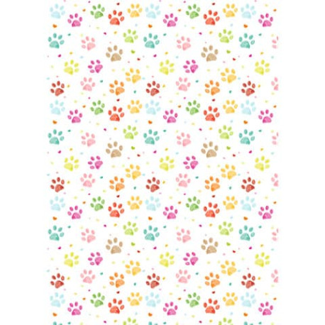 Carta da regalo Kartos Everyday 70x100 cm mod. Zampine Conf. 10 fogli - 18868100B10