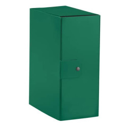 Cartelle portaprogetti Esselte C95 DELSO ORDER dorso 15 cm presspan lucido verde 25x35 cm - 39039518