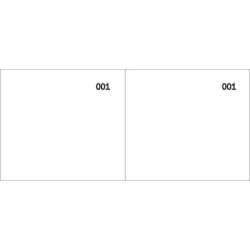 Scontrino colorato a 2 sezioni Data Ufficio blocco 100 copie prenumerate bianco - DU160000010