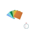 Quaderno Pigna Maxi Monocromo Green 42 ff 80 gr - A4 rigatura OC - copertine assortite - conf. 10 pe