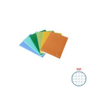 Quaderno Pigna Maxi Monocromo Green 42 ff 80 gr - A4 rigatura 5M - copertine assortite - conf. 10 pe