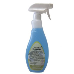 Detergente per i vetri multiuso Echochem 750 ml FS00004M750A937
