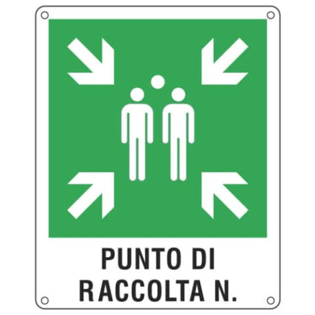 Cartello d'emergenza 40x50 cm Cartelli Segnalatori "Punto di raccolta" E20171Y