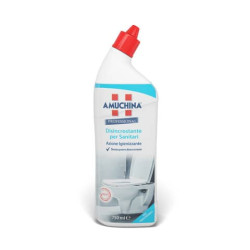 Detergente disincrostante per sanitari Amuchina 750 ml 419764