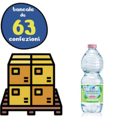 Bancale 63 confezioni da 24 bottigliette di acqua minerale naturale San Benedetto da 500 ml, proveni